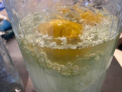 limonade sureau